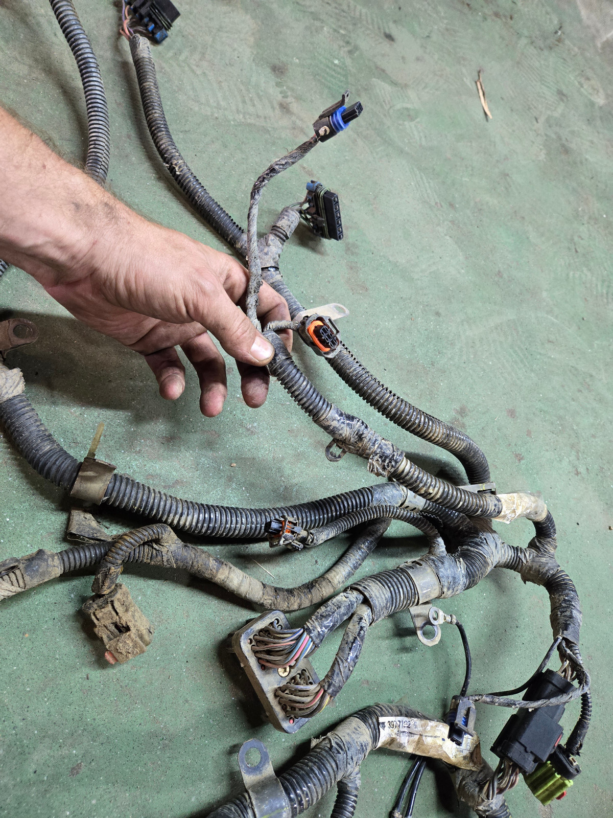 3977192 CUMMINS ENGINE HARNESS - Picture 2 of 12