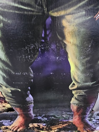 Universal Movie Monster Vintage Lifesize Cardboard Rare Set Of 4Wolfman Dracula