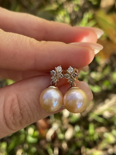 Pre-owned Le Vian Levian Chocolate Diamonds Fresh Water Pearl Earrings Post 14k Rose Gold In Pink