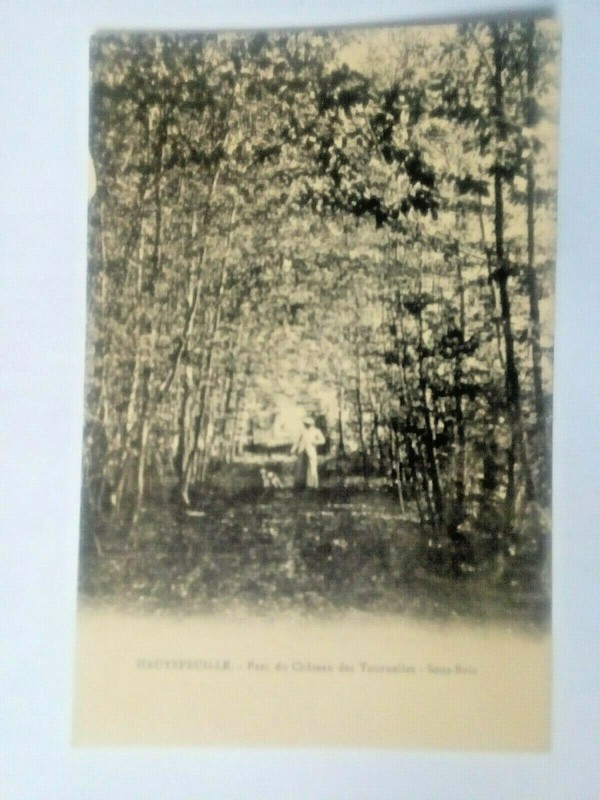 Cpa Hautefeuille.Parc Du ChÃ¢Teau Des Tournelles.Sous Bois