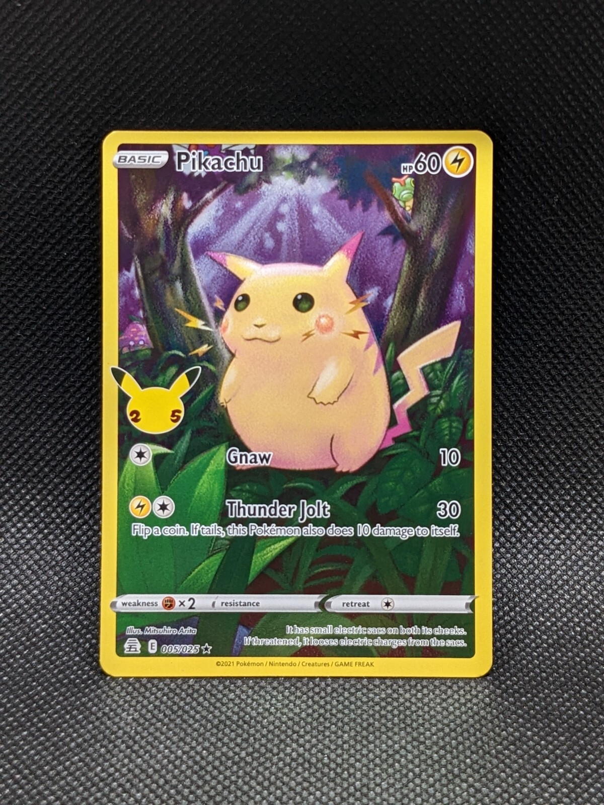 FN10506T CARDDASS 5.ピカチュウ達 ポケットモンスター アニメ