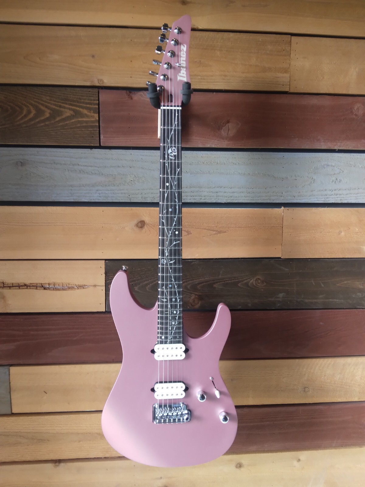 Ibanez - TOD10 | Tim Henson Signature Premiere Electric Ibanez - TOD10 | Tim Henson Signature Premiere Electric