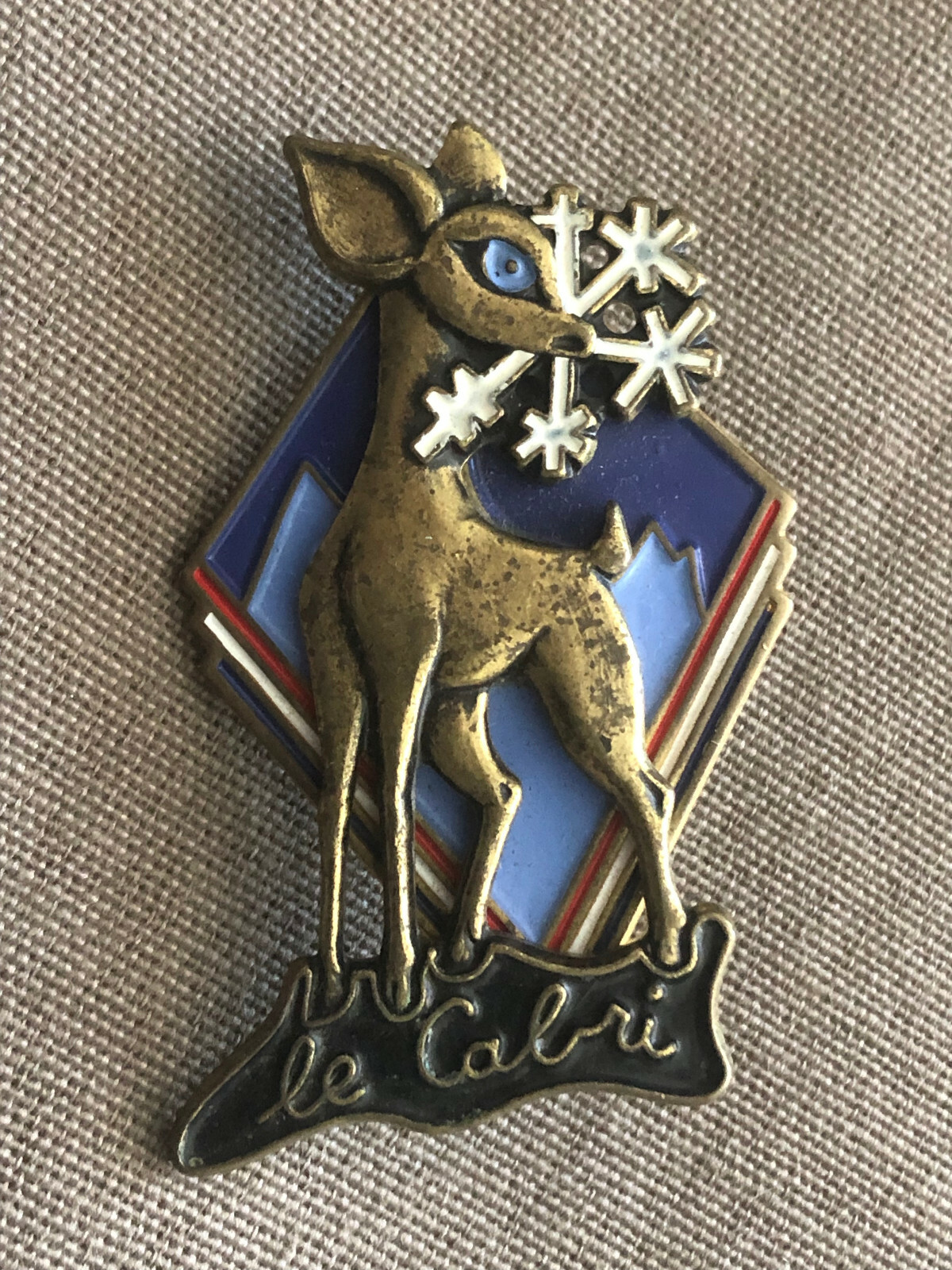 Pin's Ancien Insigne Ski Montagne Neige Suisse - Édition Limitée, Occasion
