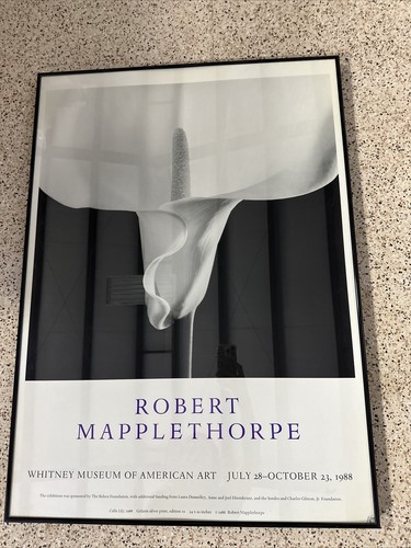 Robert Mapplethorpe ★ Lydia Cheng ★ ポスター Robert Mapplethorpe | Lydia Cheng, 1984 | Art Basel