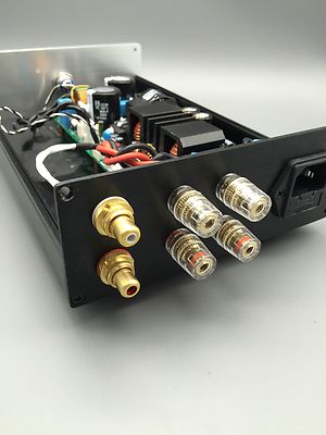 ICE-POWER 2x125W HIFI Amplifier Board ICE125ASX2 Dual Channel Amp + CASE