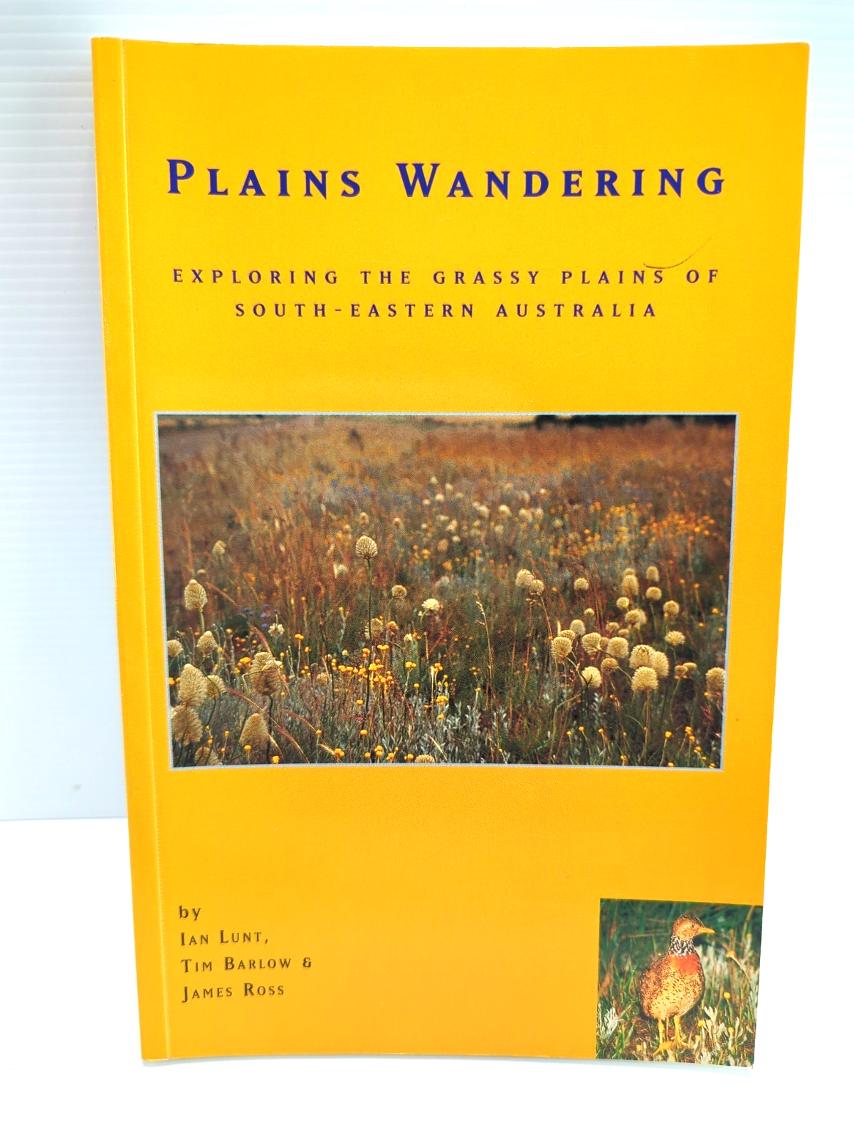 Plains Wandering by James Ross, Tim Barlow
