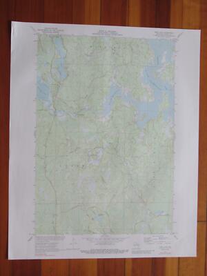 Pier Lake Wisconsin 1988 Original Vintage USGS Topo Map