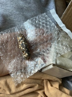 Foto dell'oggetto di un acquirente verificato