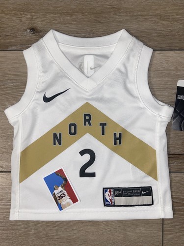 Nike, Shirts, Kawhi Leonard Toronto Raptors Mens North Jersey