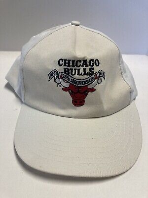 Chicago Bulls Vtg 90–91 snapback hat 25th anniversary one size fits all G395