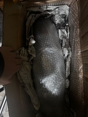 Fotos del artículo de un comprador verificado