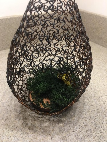 Wire Plant Terrarium Hanging