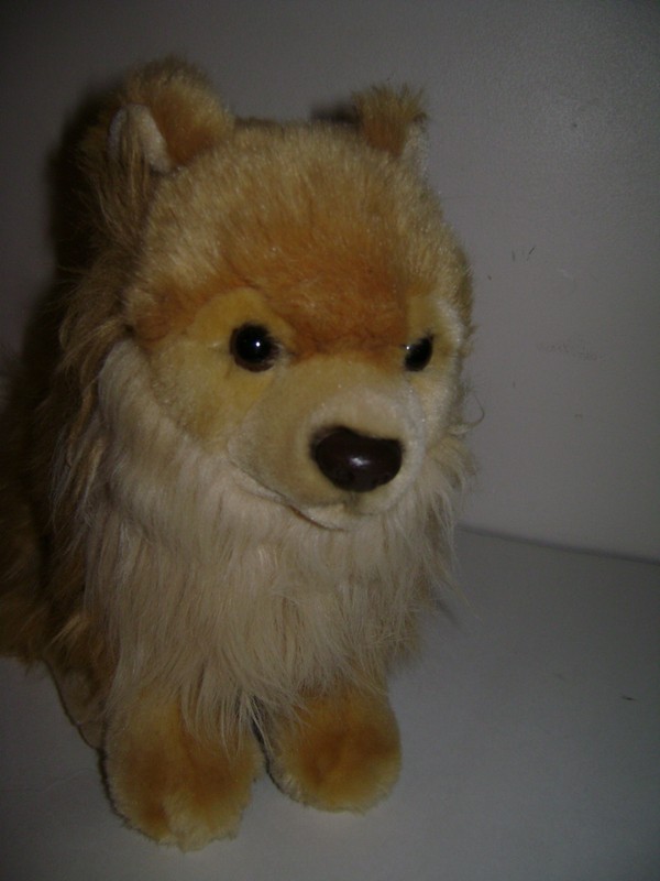 webkinz signature pomeranian