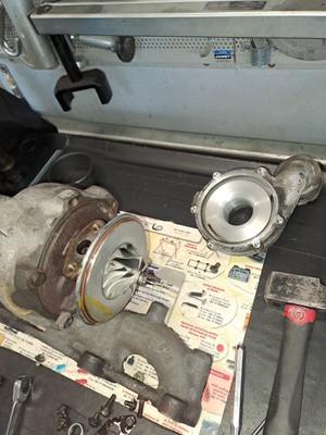 Artikelfoto(s) von einem verifizierten Käufer