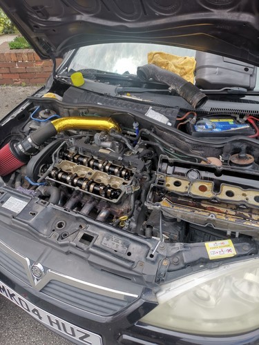 Fotos del artículo de un comprador verificado