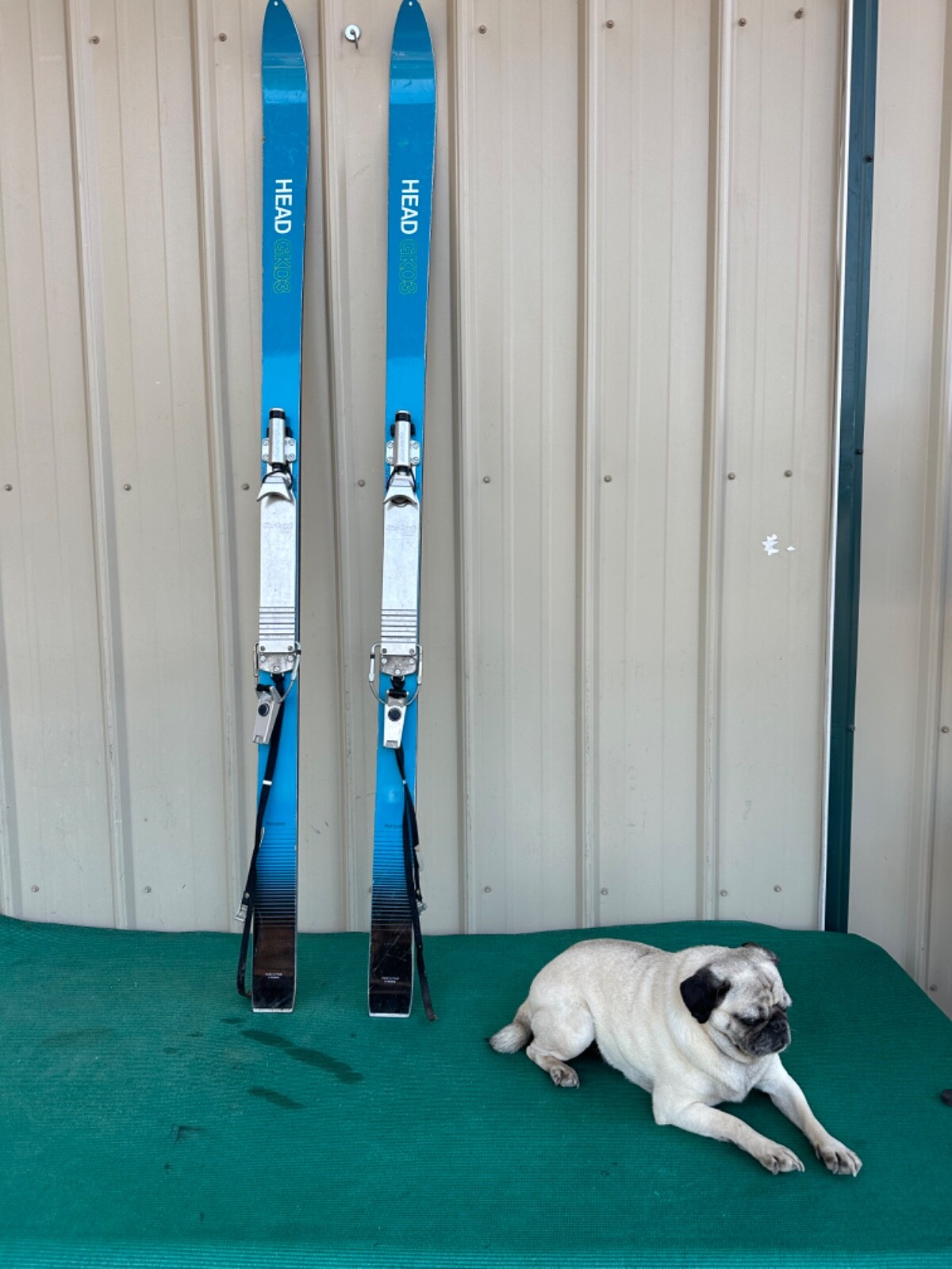 Vintage Head AMF 170cm Skis GKO3 Fiberglass w/ Gertsch Vintage Head AMF 170cm Skis GKO3 Fiberglass w/ Gertsch