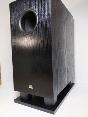 skw 100 subwoofer