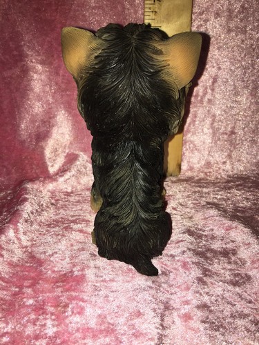 Yorkie Figurine Oversized Head, Yorkshire Terrier Realistic Eyes, 6”, Unkn. Mfg