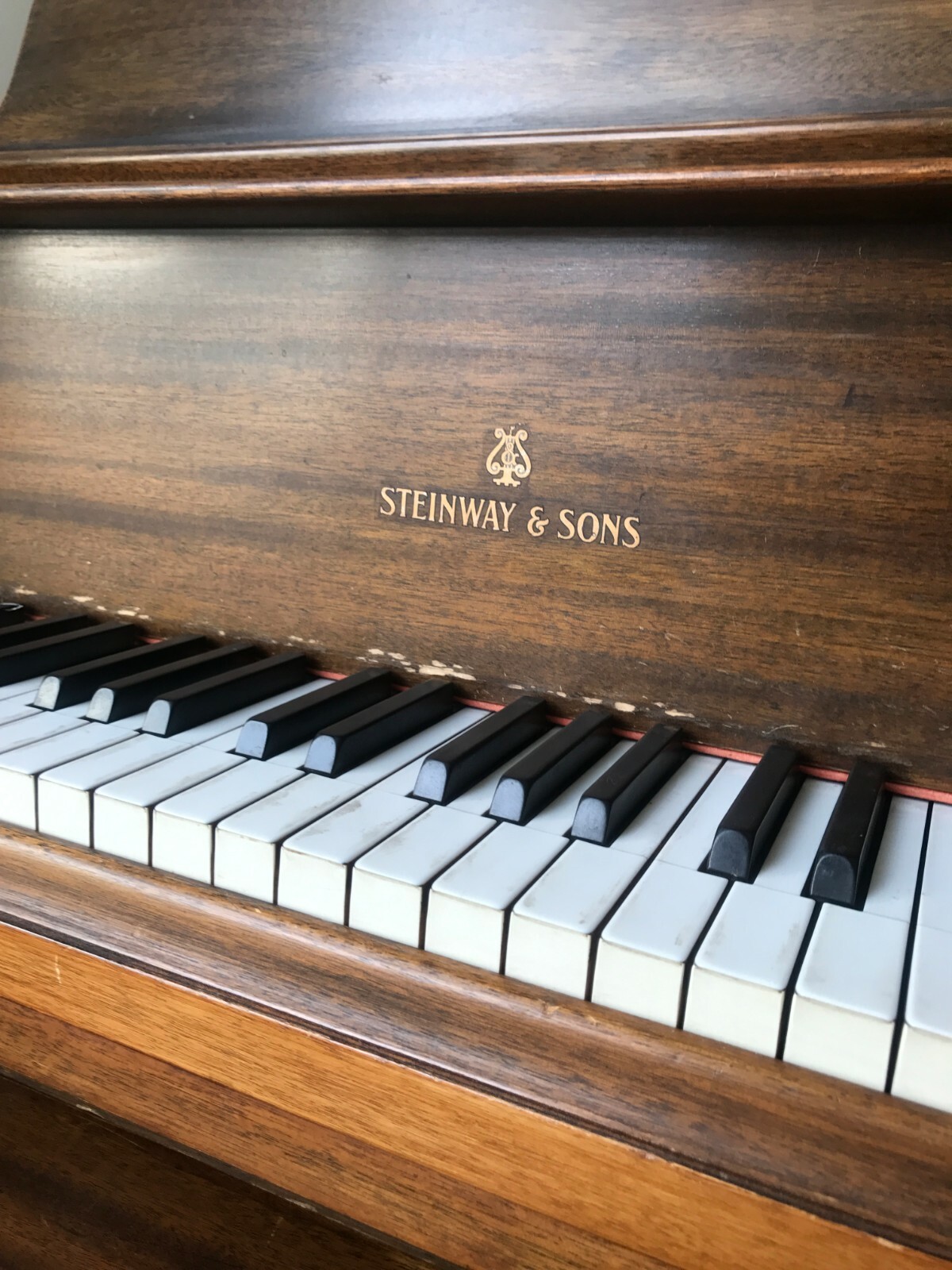 Beautiful Steinway 1920's Grand Piano