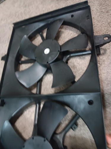 Foto dell'oggetto di un acquirente verificato