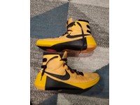 nike hyperdunk 2015 bruce lee