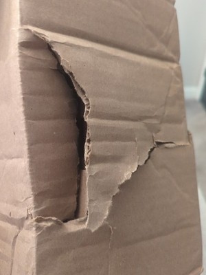 Item photo(s) from verified buyer