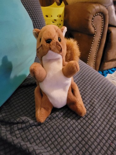 Nuts beanie baby