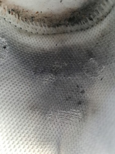 Artikelfoto(s) von einem verifizierten Käufer