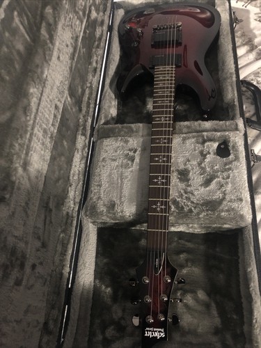 schecter diamond series case