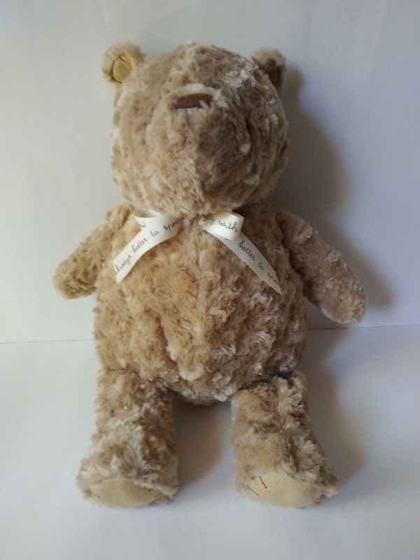 Disney Baby Classic Winnie The Pooh Bear Plush Stuffed Animal