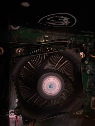 Fotos del artículo de un comprador verificado