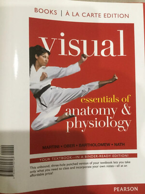Visual Essentials Of  Anatomy And Physiology