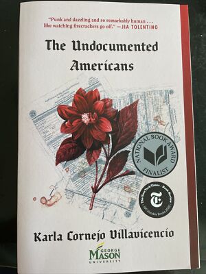 the undocumented americans