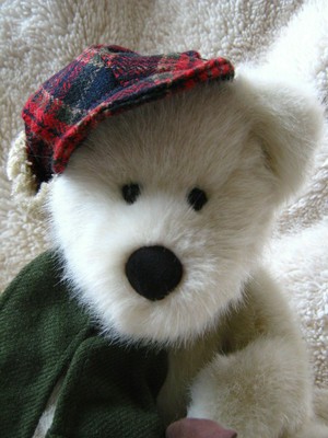 Boyds Bears Plush Fisher Bear of the Month January 2007 Fairbanks 919880 Rare LE