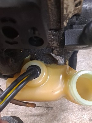 Artikelfoto(s) von einem verifizierten Käufer