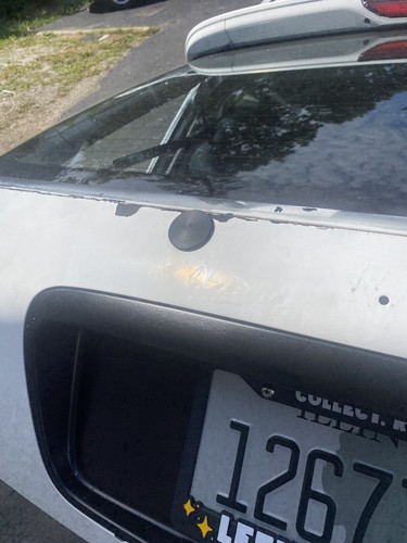 Fotos del artículo de un comprador verificado