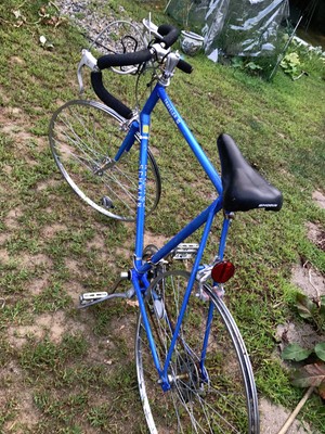 1980 schwinn traveler
