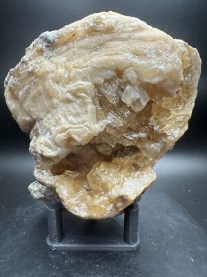 536g Amber Calcite Clam Crystal Shell Fossil Specimen Rucks Pit FLORIDA Ft. Drum