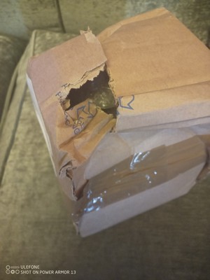 Artikelfoto(s) von einem verifizierten Käufer