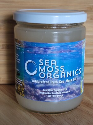 Ocean Wildcrafted Gold Sea Moss 16 Oz in a glass jar