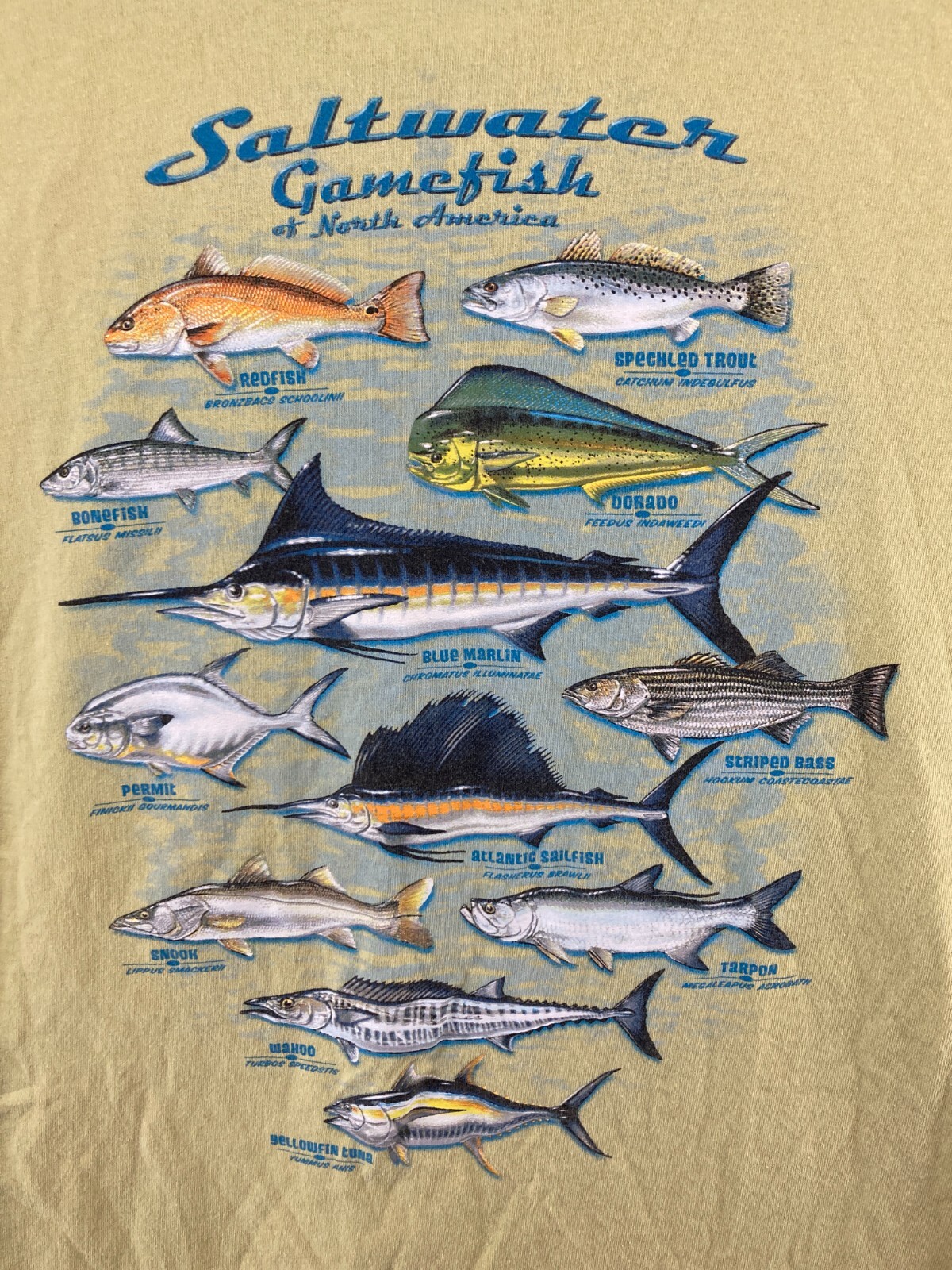 00s Columbia Saltwater Gamefish Tシャツ XXL Columbia Mens Tshirt Large Yellow Saltwater Gamefish Fishing