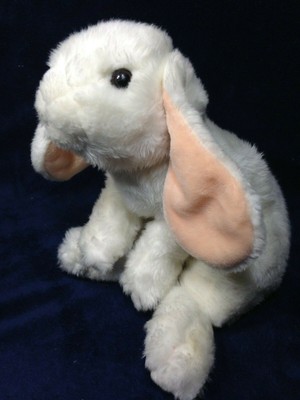animal alley rabbit