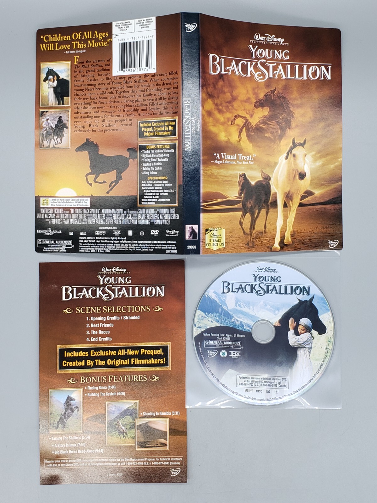 Young Black Stallion (DVD, 2004) No Case No Tracking Young Black Stallion (DVD, 2004) No Case No Tracking
