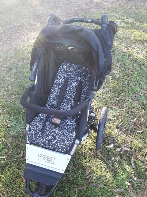 mountain buggy capsule clips