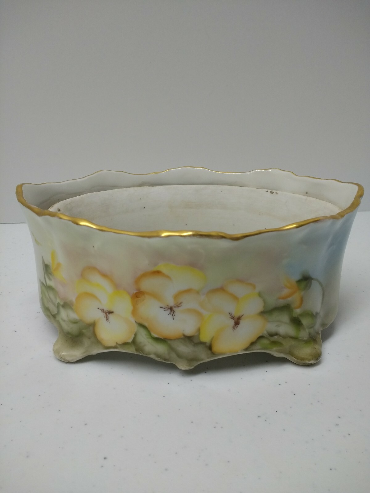 Erdmann Schlegelmilch self watering planter ferner pansy ES 1811 Prufsia Prussia