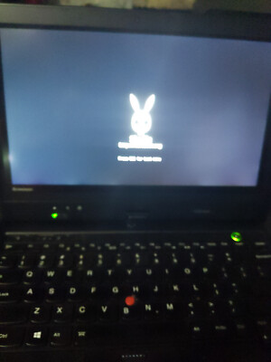 Lenovo X230 I5-3320m 8GB RAM skulls coreboot ME_CLEANER tablet laptop