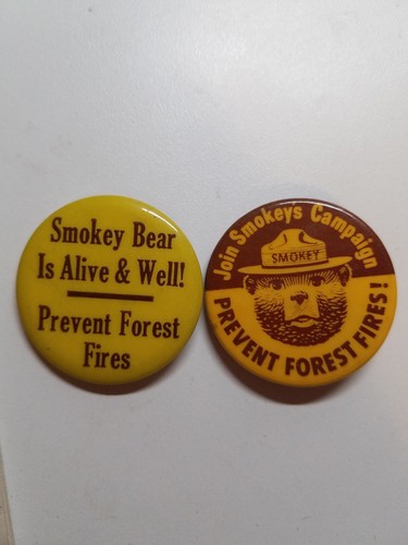 Vintage Smokey Bear Items Book Pins Activity Book Story of the Forest USFS