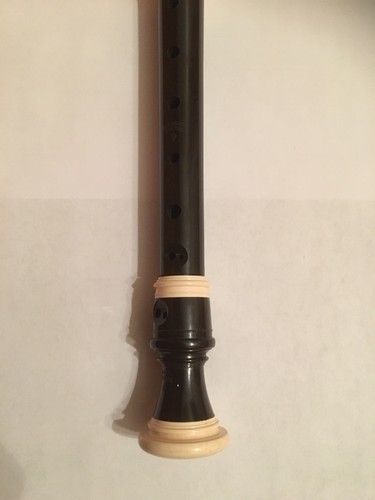 Stanesby Junior Zen On Soprano Recorder With Case And Cleaner Japan GUC 13” Long