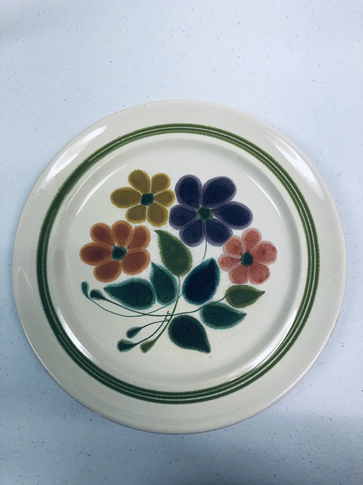 Franciscan Earthenware Interpace Floral Dinner Plates SET of 2 USA 70s Vtg MCM
