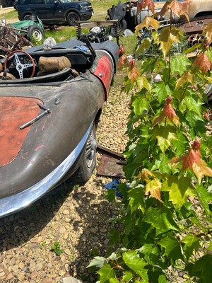 unclassified image 5